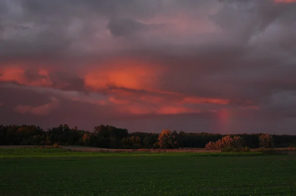 Solnedgång — Stockfoto