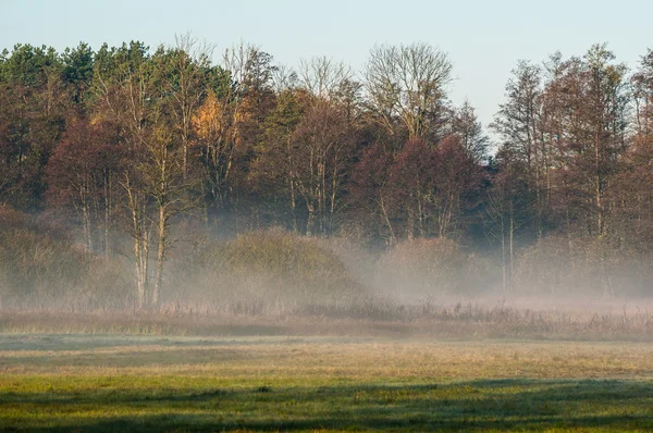 Herfst nevel — Stockfoto