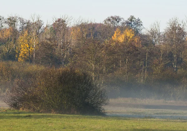 Nebbia autunnale — Foto Stock