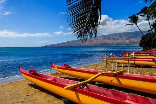 Canoe hawaiane — Foto Stock