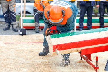 Korumacı tulumlar içindeki bir oduncu, testere ile ağaç gövdesini keser. Bu da testere ve yeteneğinin doğruluğunu gösterir. Boşluğu kopyala.