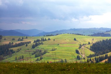 Yumuşak güneş ışığıyla aydınlatılan yeşil bir tepe Karpat dağlarının arka planında ve bulutlu bir gökyüzünde. Boşluğu kopyala.