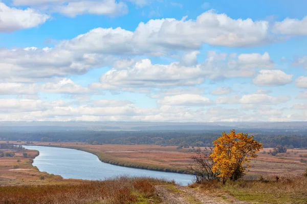 Herfst Panorama Landschap Zonnige Dag Rand Van Een Landweg Buurt — Stockfoto