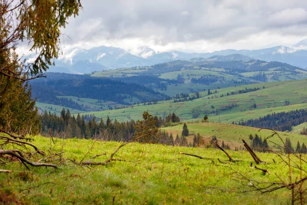 Lente Landschap Van Berg Karpaten Met Natte Mist Heuvels Begroeid — Stockfoto