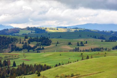 Bahar mevsiminin dağ tepelerinin perspektifi ve ritmi düşük bulutlu Karpatlar, ama taze yeşil çimenlere bir güneş ışığı parlamasıyla bazı yerlerde aydınlandı. Boşluğu kopyala.