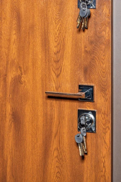 Set Keys Keyholes Wood Veneered Armored Front Door Vertical Image — Fotografia de Stock