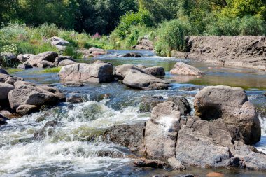 The rapid current of the clear waters of a forest stream makes its way through the large stone boulders of the rapids against the backdrop of a thicket and a blue sky.