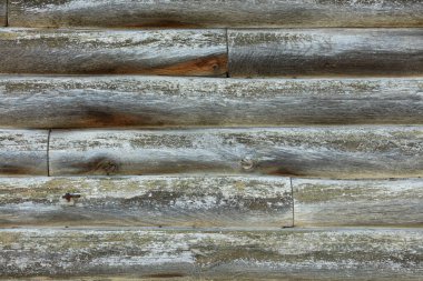 Texture of a wall made of weathered old gray logs overgrown with moss with cracks, spots and scratches of an old wooden house.