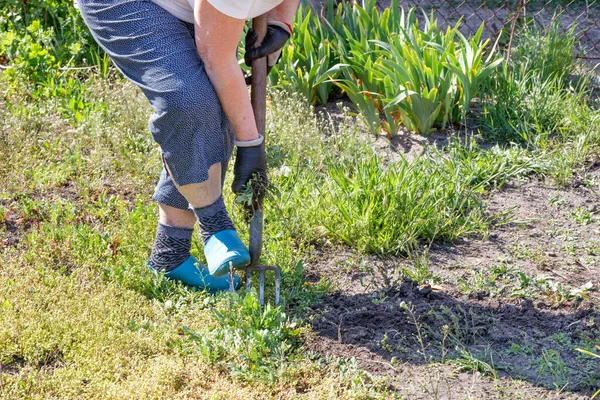 Una Soleggiata Giornata Primaverile Una Donna Allenta Terreno Giardino Con — Foto Stock