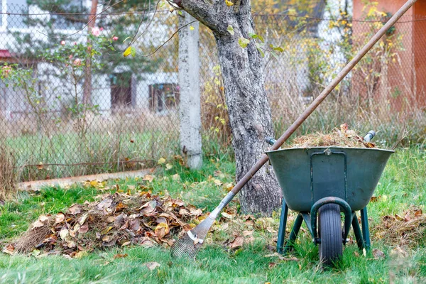 Cura Del Giardino Estivo Foglie Marroni Cadute Giardino Area Verde — Foto Stock