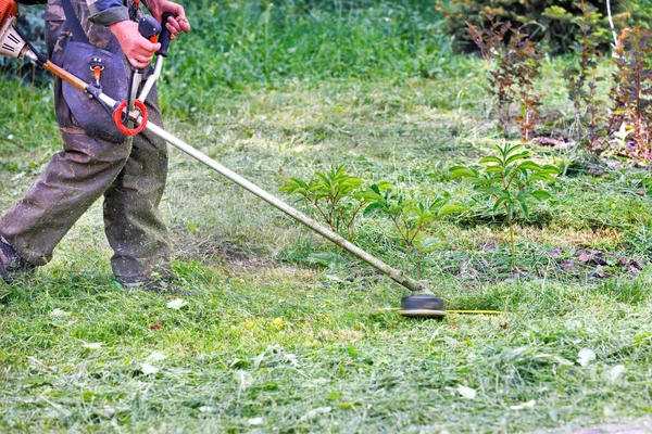 Egy Közműmunkás Lenyír Egy Túlméretezett Zöld Füvet Egy Benzinnyíróval Fénymásolási — Stock Fotó