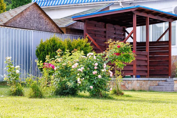 Фрагмент Ландшафтного Дизайна Подстриженной Зеленой Лужайки Кустами Лазающих Роз Густой — стоковое фото