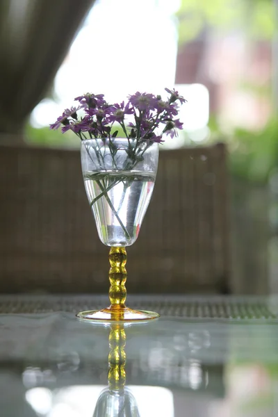 Paarse bloem in pot — Stockfoto