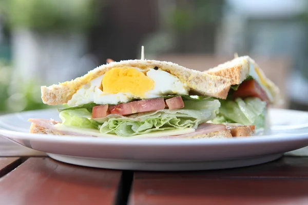 Club sandwich met op hout achtergrond — Stockfoto