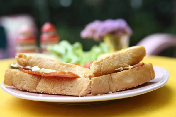 Sandwich jambon et fromage — Photo