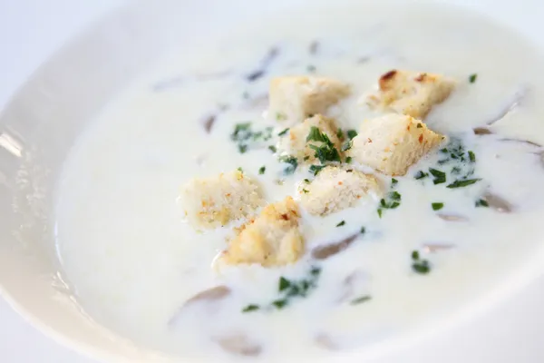 Mushroom soup — Stock Photo, Image