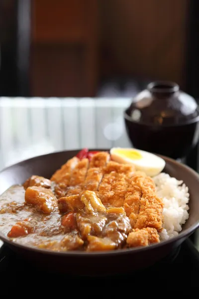 Riz au curry avec porc frit — Photo