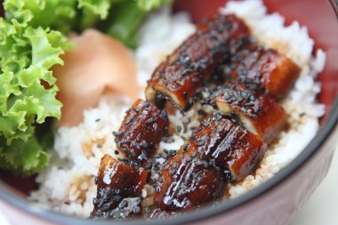 grilled eel on rice clipart
