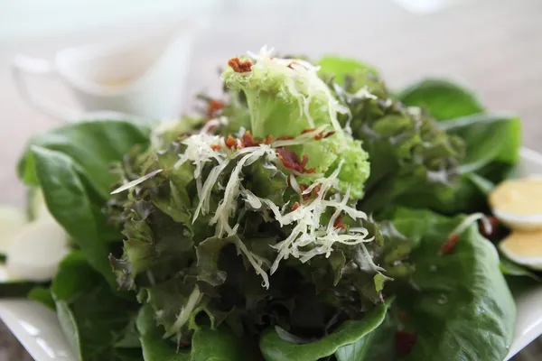 Ceacar salad in close up — Stock Photo, Image