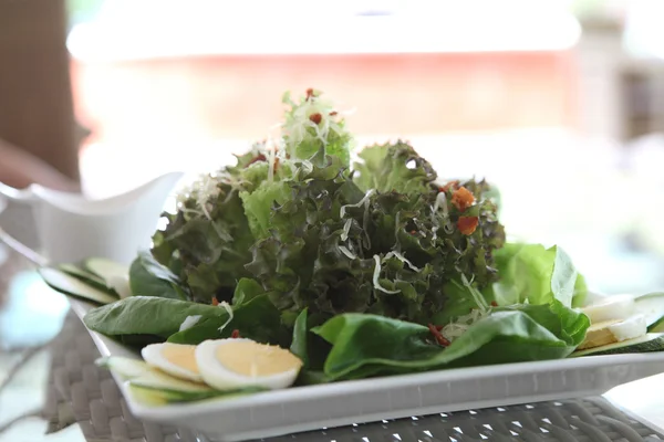 Insalata di ceacar in primo piano — Foto Stock