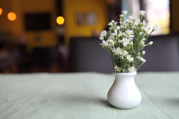 Flower in jar — Stock Photo, Image