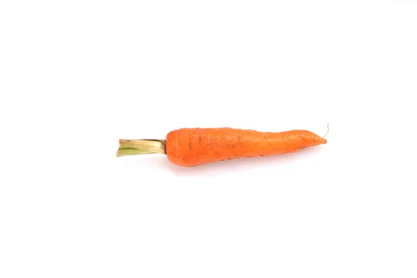 Carrot isolated in white background — Stock Photo, Image