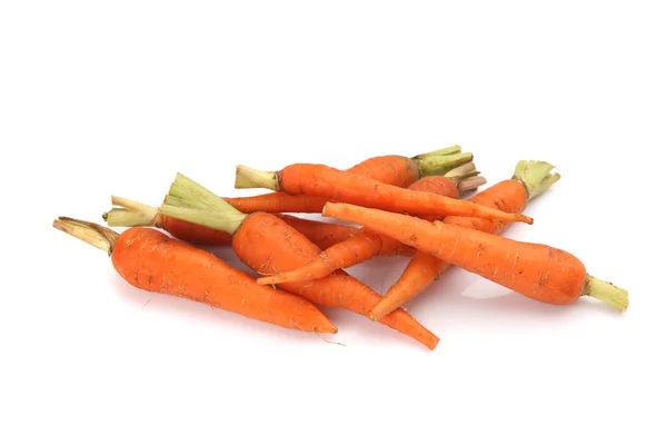 Carrot isolated in white background — Stock Photo, Image