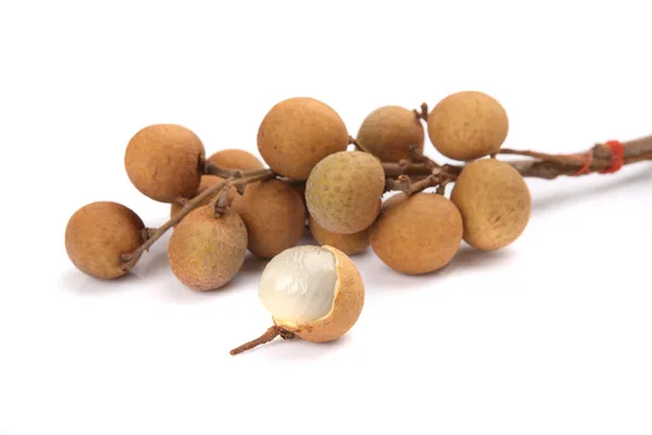 Longan isoliert auf weißem Hintergrund — Stockfoto