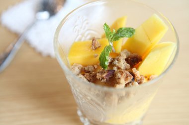 Mango Dondurma