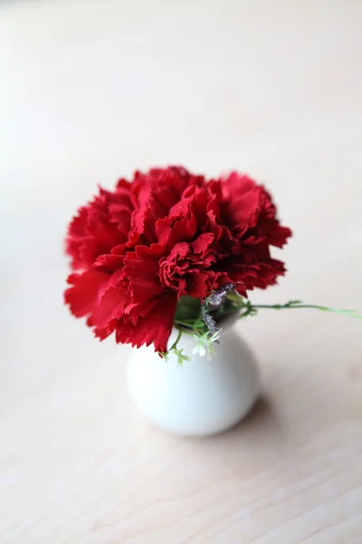 Flor roja en tarro — Foto de Stock