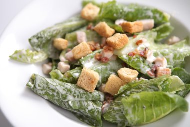 Beyaz arka planda izole ceacar salata