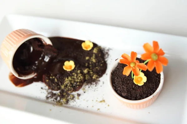 Chocolade pudding vuil — Stockfoto