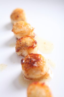 pan katılaşmış deniz tarağı yakın çekim