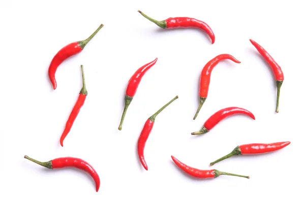 Rote scharfe Chilischote isoliert auf weißem Hintergrund — Stockfoto