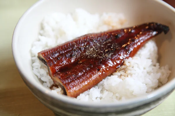Kabayaki eel on rice japanese style — Stock Photo, Image