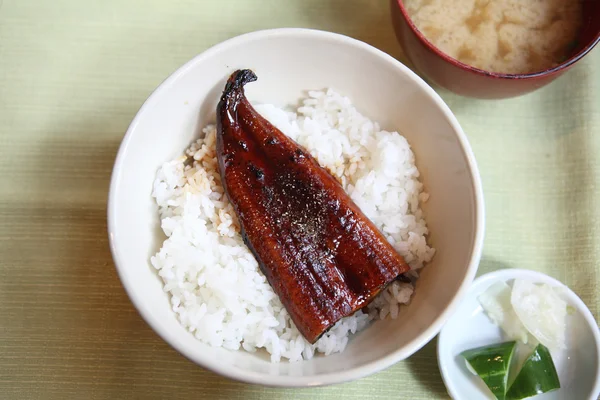 Kabayaki la anguila sobre el arroz el estilo japonés —  Fotos de Stock