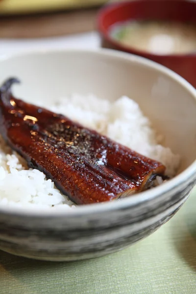 Enguia kabayaki no estilo japonês de arroz — Fotografia de Stock