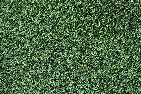 Grass background — Stock Photo, Image