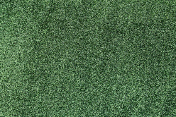 Grass background — Stock Photo, Image