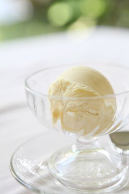 Vanilyalı dondurma.