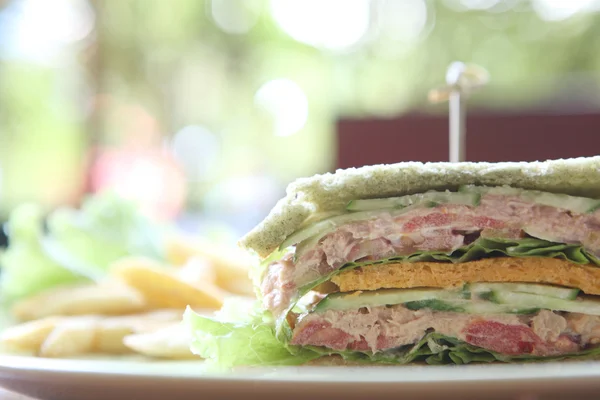 Сэндвич с тунцом на деревянном фоне — стоковое фото