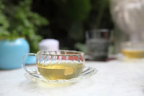 Té verde caliente — Foto de Stock