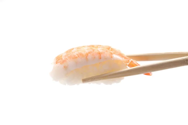 Shrimp sushi isolated in white background — Stock Photo, Image