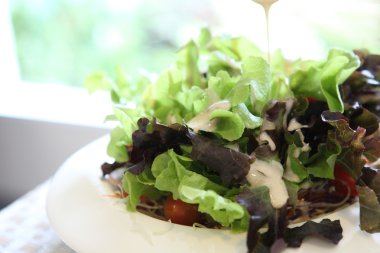 ceacar salata yakın çekim