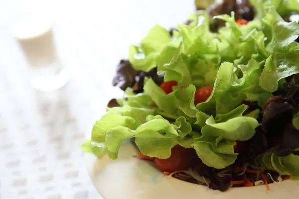 Insalata di ceacar in primo piano — Foto Stock