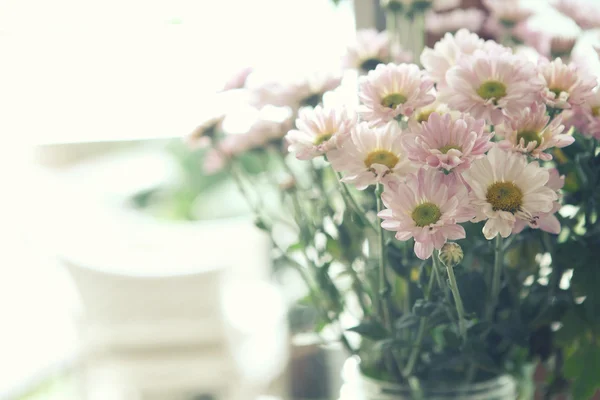 Frühling rosa Blume — Stockfoto