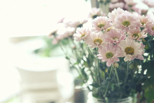 Primavera flor rosa — Fotografia de Stock