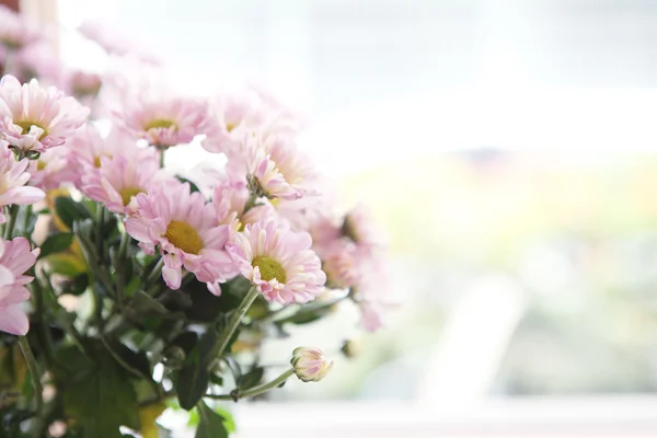 ピンクの春の花 — ストック写真