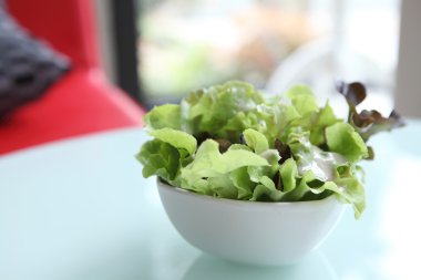 salata yakın çekim