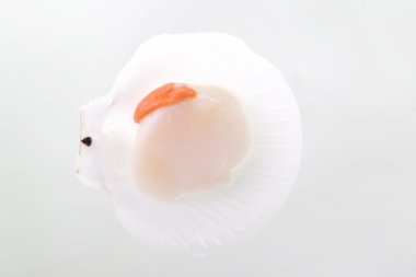 Beyaz arka planda tarak